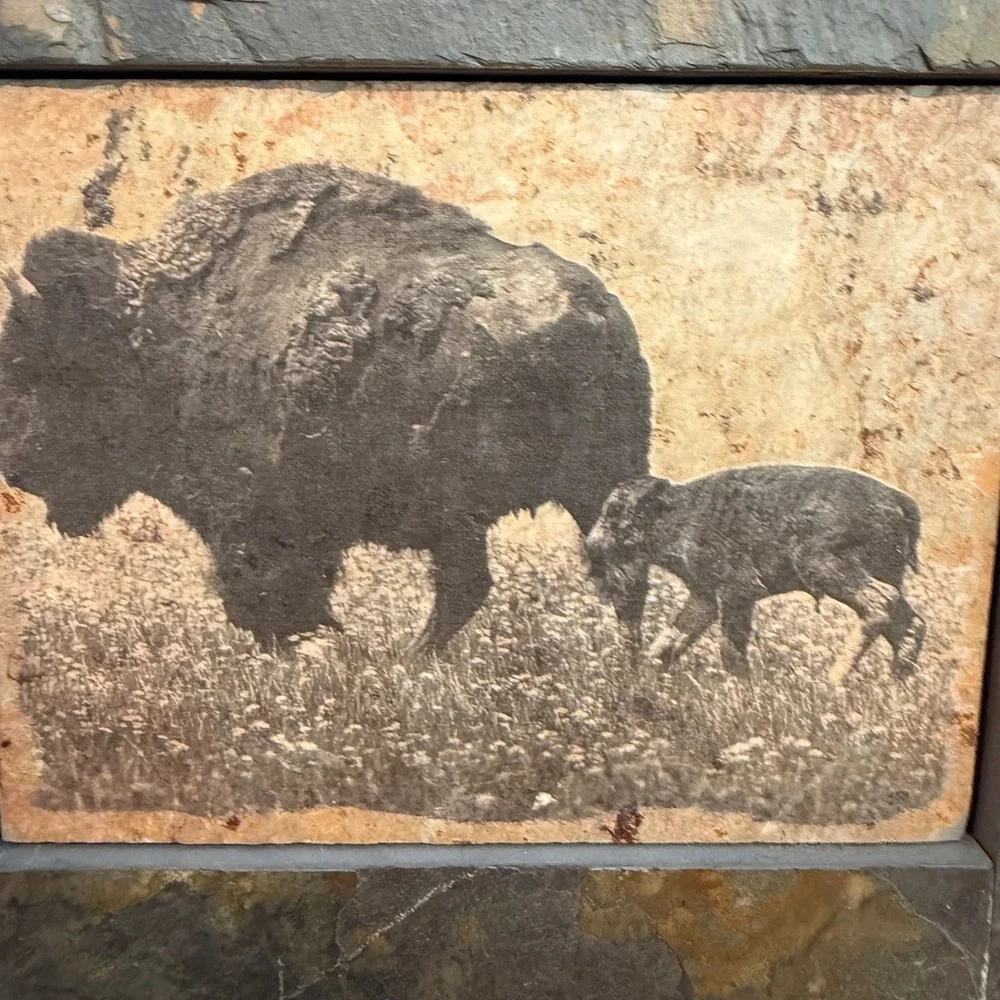 Bundle of 2 Sierra Slate Bison and‎ Elk Handcrafted Stone Wall Art Rustic Decor